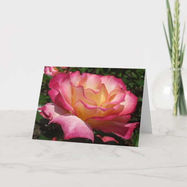 Rose  holiday card (Front)