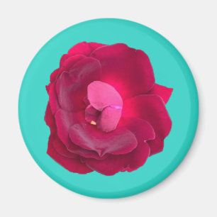 Rose I Magnet
