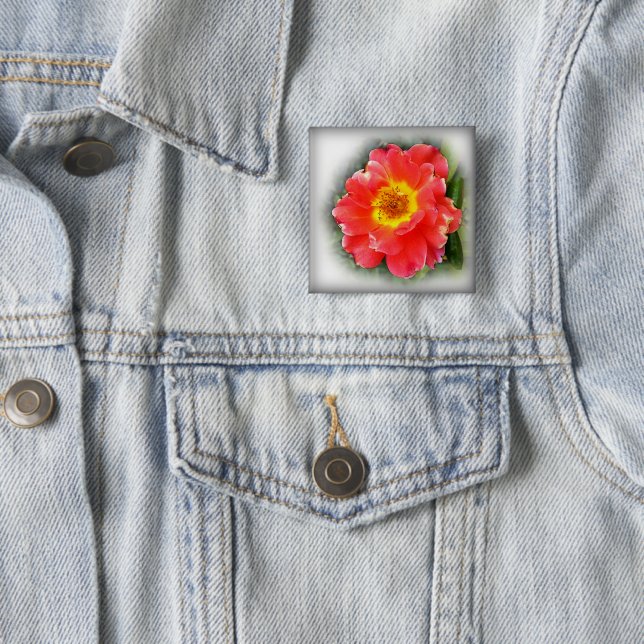 Rose in autumn 15 cm square badge (In Situ)