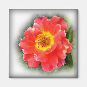 Rose in autumn magnet