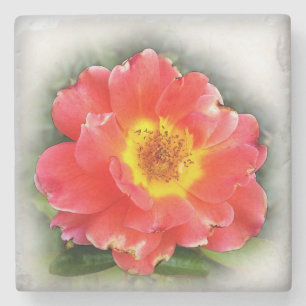 Rose in autumn stone coaster