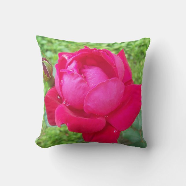 Rose in Bloom Cushion (Front)