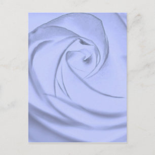 Rose in blue.jpg postcard