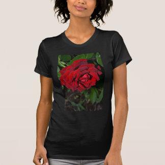 Rose in Deep Red T-Shirt