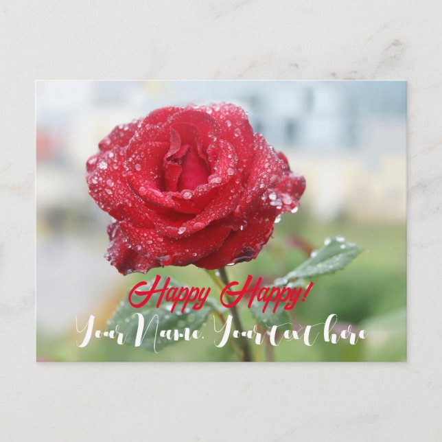 Rose in raindrops   holiday postcard (Front)