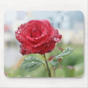 Rose in raindrops mouse pad