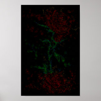 Rose in the dark poster