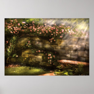Rose - In the rose garden Poster