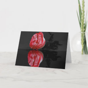Rose in Water Greeting Card