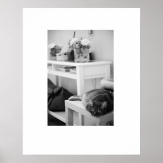 Rose Kitty Poster