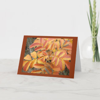 Rose Leaf in Autumn Blank Note Card