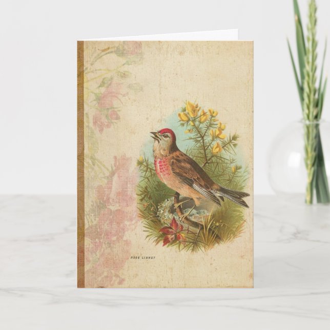 Rose Linnet Card (Front)
