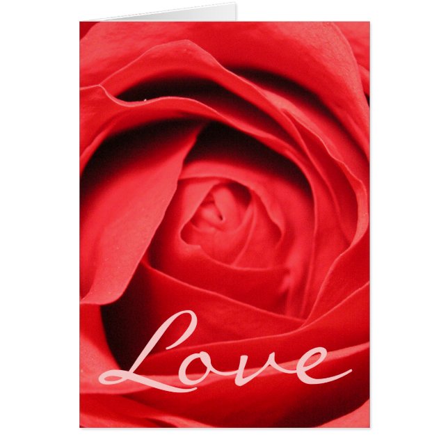 Rose Love Card (Front)