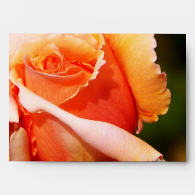 Rose love _ envelope (Front)