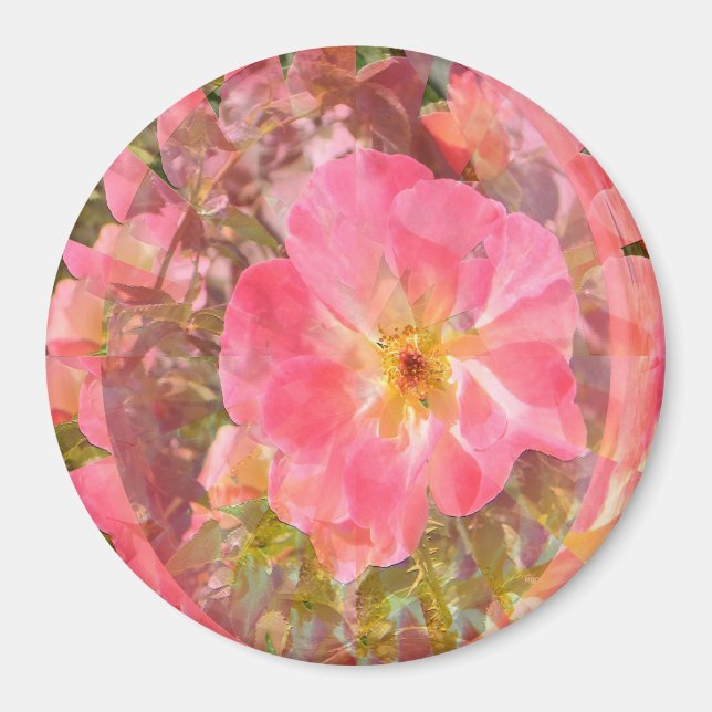 Rose Love....... Magnet (Front)