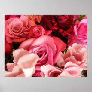 Rose Love Poster