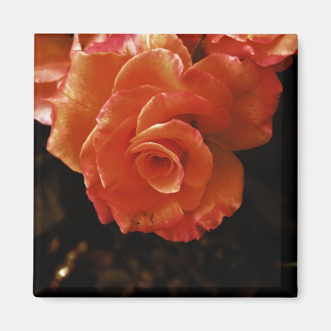 Rose Magnet (Front)