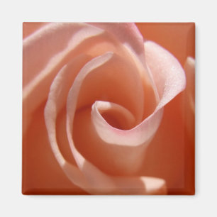 Rose Magnet