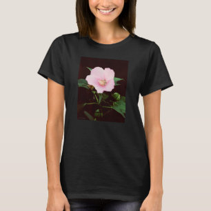 Rose Mallow Ladies' Long-Sleeve T-shirt