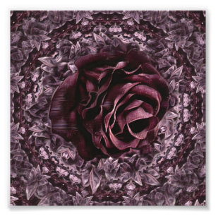 Rose Mandala Photo Print