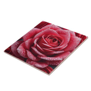 Rose Mark Ceramic Tiles : Add Charm to Your Walls