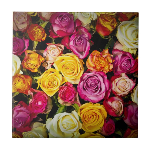 Rose Mix Ceramic Tile (Front)