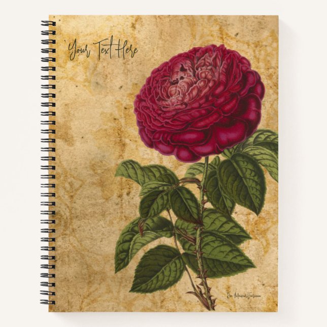 Rose Monsieur Journeaux Vintage Notebook (Front)