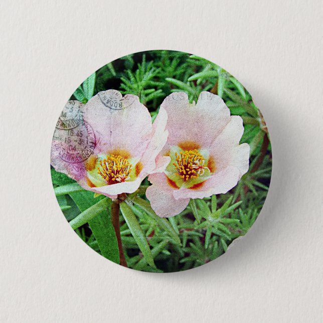 Rose Moss Flowers 6 Cm Round Badge (Front)