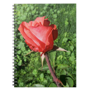 Rose Notebook
