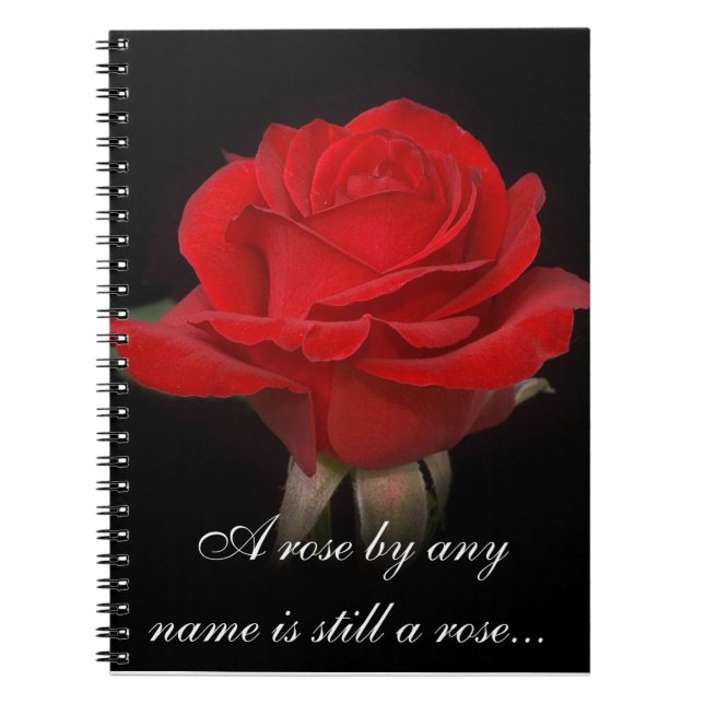 Rose Notebook 2 (Front)