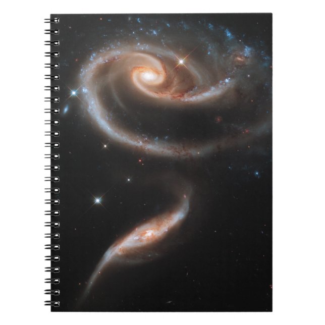 Rose of Galaxies Notebook (Front)