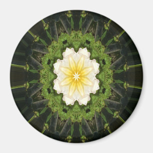 Rose of Love..... Magnet