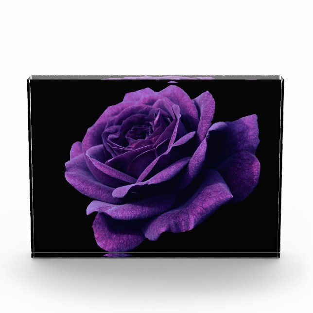 Rose of love photo block (Front)