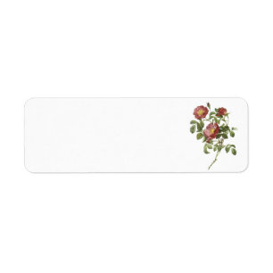 rose of love (Rosa pumila) by Redouté Return Address Label