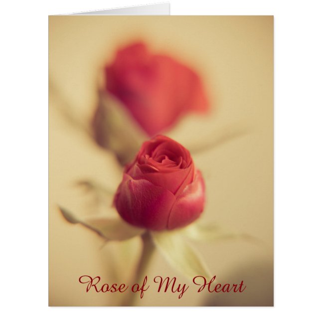 Rose of My Heart (Front)