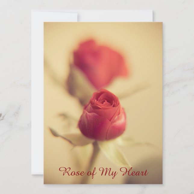 Rose of My Heart (Front)