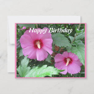 Rose of Sharon Birthday Card
