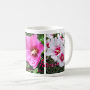 Rose of Sharon [Classic Mug] Coffee Mug
