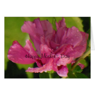 Rose of Sharon Happy Mother's Day