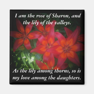 Rose of Sharon Magnet