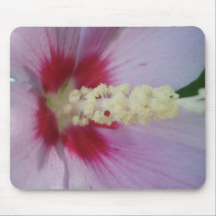 Rose of Sharon Mouse Pad