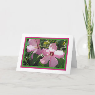 Rose of Sharon Note Card