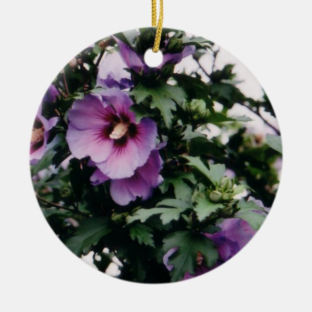 Rose of Sharon Ornament (Front)