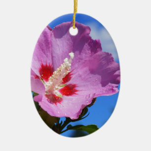Rose of Sharon Photograph Ceramic Tree Decoration