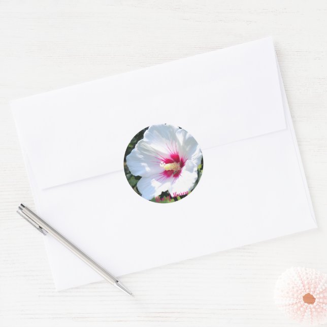 Rose of Sharon [Round Seal] Classic Round Sticker (Envelope)