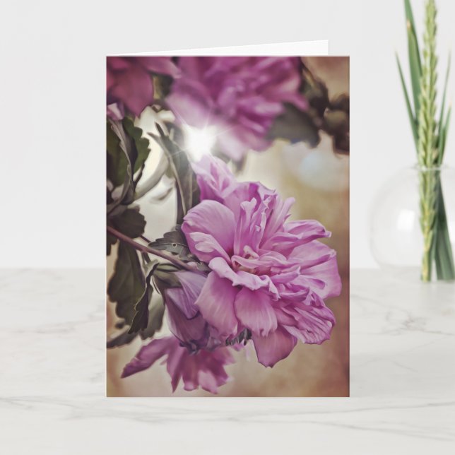 Rose of Sharon Sun Scripture Card Numbers 6:25 (Front)