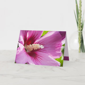 Rose of Sharron Card