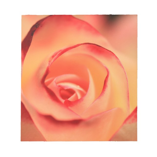 rose orange rose blossom bloom notepad (Front)