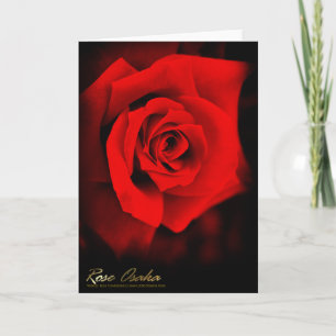 Rose Osaka: Holiday Card