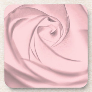 Rose - pale pink.jpg coaster